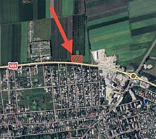 Teren pentru construcții, Edineț, 150 ari