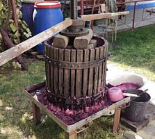 Уютный дом в Парканах «под ключ» с мебелью и ухоженным участком