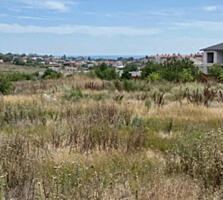 Продам фасадный участок Зеленый гай/Совиньон