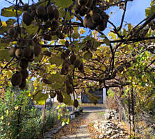 Земельный участок с домом