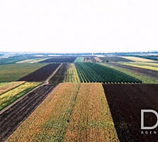 Teren agricol, 118,5 ari, Hrușova