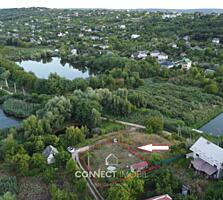 Dumbrava noua, Chisinau, Moldova