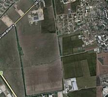 Предлагается к продаже земельный участок площадью 178 соток. ...