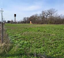 Срочно продаётся участок правильной формы (18х100) в селе Кордон. До .