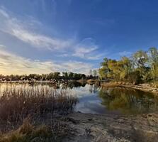 Продам 2 участка по 6 соток в садовом товариществе Судимовское-1, ...