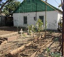 Продается хозяйский дом в Красноселке