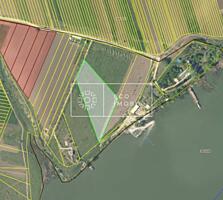 Teren agroindustrial de vânzare pe malul Râului Nistru – Ideal pentru 