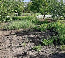 Продается участок 6.4 соток в Раздельнянском районе, село Малое, ...