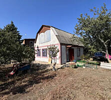 Продам дачу в с.Дачное на берегу Хаджибеевского лимана