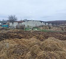 Spre vânzare fermă activă în Raionul Anenii Noi. Caracteristici: 2,6 .