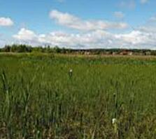 Продам участок в 30 км от Одессы. Участок правильной формы, 25 соток. 