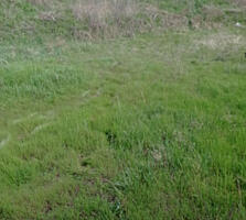 Продам участок в Усатово.