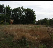 15 соток на Золотой горке/Черноморка