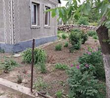 В продаже компактный и уютный дом, расположенный на 25 сотках земли в 