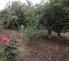 Продажа участка на Слободке