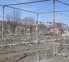 Продам огород на Липканах у Днестра!