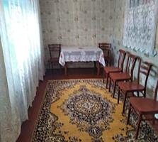 Продается дом с. Тея