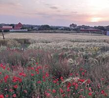 Предлагается к продаже участок в селе Большой Дальник. Участок ...