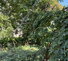 Участок на 7-й ст. Люстдорфской дороги