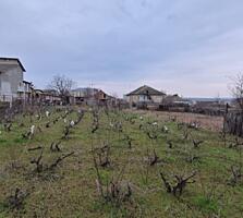 Участок центр 7 соток