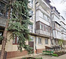 Центр. Рядом гимназия №2.