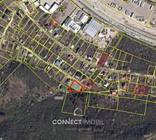 I.P Apicultorul, Trușeni, Chisinau