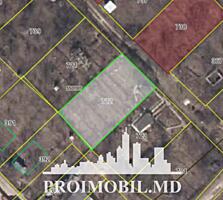Spre vânzare se oferă teren pomicol, situat în or. Ialoveni, IP ...