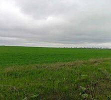 Предлагается к продаже участок 8 соток в пригороде Одессы - Большая ..