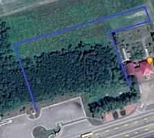 Продаётся участок. Киевская область, Макаровский район , Колонщина, .