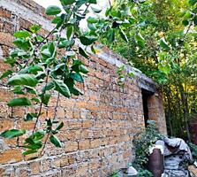 Продам на Агрономической коробку дома на участке 5,5 соток.