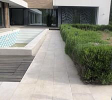 Сосновый берег