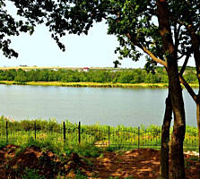 Фасадный делимый участок 24 сотки Молодежное/Заря