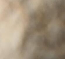 Ищу 2-3х комнатную на Балка, Центр