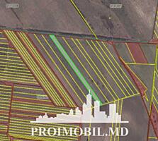 Spre vânzare se oferă teren agricol, situat în com. Băcioi, sat. ...