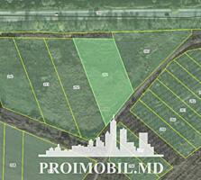 S pre vânzare se oferă teren cu destinație agricolă, situat la prima .