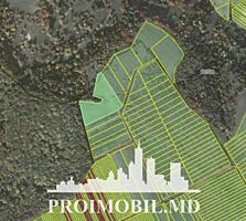 S pre vânzare se oferă teren cu destinație agricolă, situat la prima .