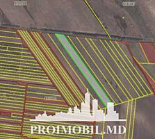 Spre vânzare se oferă teren agricol, situat în com. Băcioi. Suprafața 