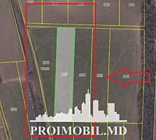 Spre vânzare se oferă teren agricol, situat în Ialoveni, s. Mileștii .