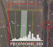 Spre vânzare se oferă teren agricol, situat în Ialoveni, s. Mileștii .