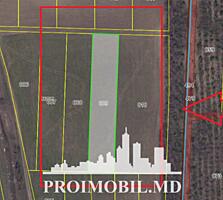 Spre vânzare se oferă teren agricol, situat în Ialoveni, s. Mileștii .