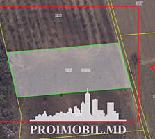Spre vânzare se oferă teren agricol, situat în or. Ialoveni, s. ...