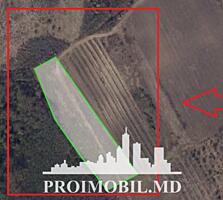 Spre vânzare se oferă teren agricol, situat în or. Ialoveni, s. ...