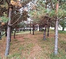 Продается земельный участок в коттеджном городке "Swisstown"