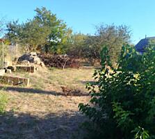 Предлагается к продаже участок 7 соток земли в Новой Дофиновке. С ...