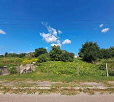 Продаётся участок. Киевская область, Бориспольский район , Дивычки, ..