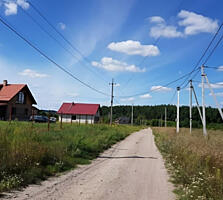 Продаж земельної ділянка. Київська область, Васильківський район , ...