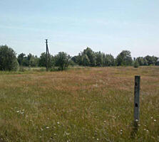 Продаётся участок. Киевская область, Барышевский район , Березань, ...