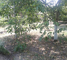 Продам участок 6,5 соток Ц. Село -2/ Черноморка