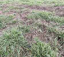 Продается земельный участок в городе Черноморск – идеальный вариант ..