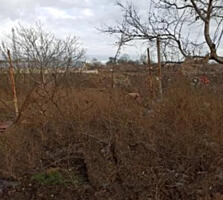 Участок 3 сотки с одноэтажным домом, Золотая горка/Черноморка